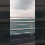 2023年 宮古島島旅行③ウミガメ遭遇したぜ〜