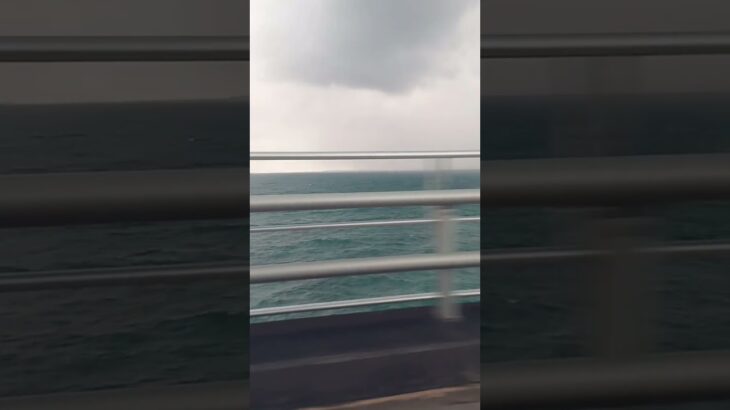 2023年 宮古島島旅行③ウミガメ遭遇したぜ〜