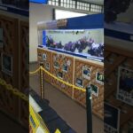 2023年 宮古島旅行①強風だけど伊良部大橋行ってみた