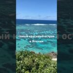 2023年 САМЫЙ КРАСИВЫЙ ОСТРОВ В ЯПОНИИ