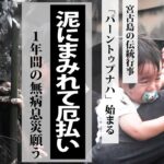 2023年 泥にまみれて厄払い　宮古島の伝統行事「パーントゥプナハ」始まる