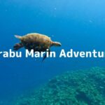 2023年 宮古島 伊良部島 シュノーケル