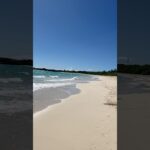 2023年 本日の宮古島！晴れ🌞朝イチ雨降ったのかも！暑いです！宮古島ブルー最高！