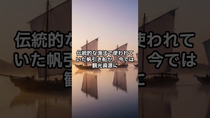 【霞ヶ浦の絶景】湖上を滑る白い帆!日本の伝統技術に感動⚓️