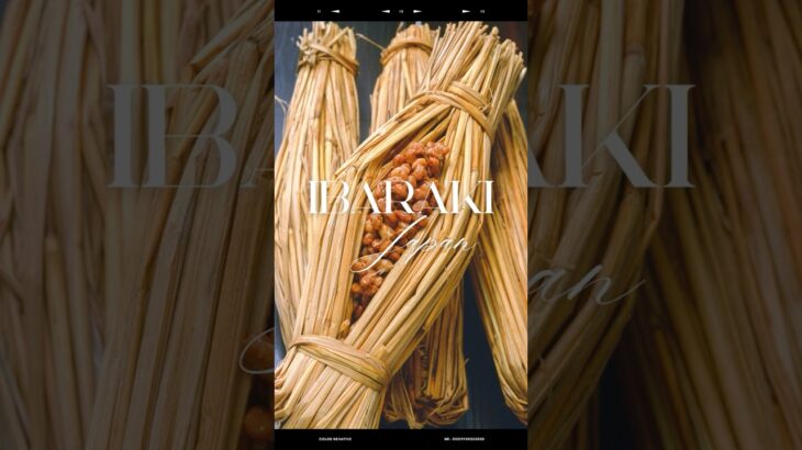 茨城の魅力満喫旅🌸海も山もグルメも映える!ひたち海浜公園の青、袋田の滝の迫力、大洗の朝日✨常陸牛&干し芋も絶品😋#茨城観光 #茨城旅行 #日本の絶景 #旅好きな人と繋がりたい #グルメ旅