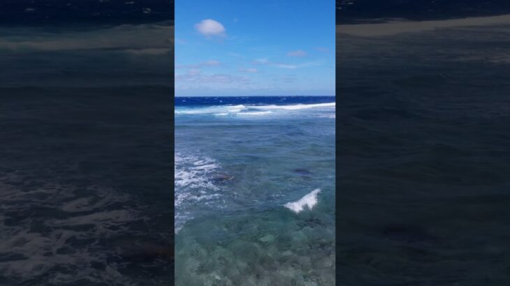 2023年 風の強い日の波