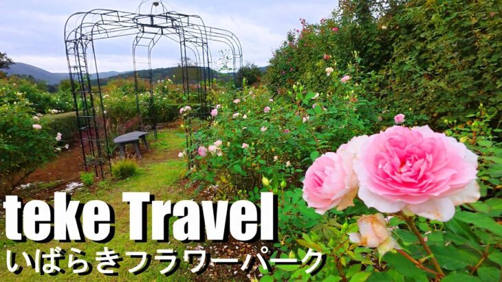 【観光】いばらきフラワーパーク/茨城県石岡市 色とりどりのバラに囲まれて幸せ気分