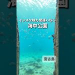 2023年 【沖縄観光】宮古島の海を堪能できる！海中公園