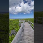 2023年 緑は癒されるなぁ〜 #宮古島 #自然