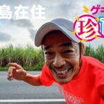 2023年 宮古島の珍百景（イルカとか竜巻とか）大公開