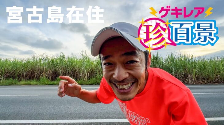 2023年 宮古島の珍百景（イルカとか竜巻とか）大公開