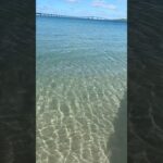 2023年 本日の宮古島！晴れ！伊良部大橋！最高にきれい！宮古島の海、透明度ダントツです