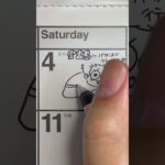 2023年 １コマ絵日記：宮古島にバカンス行ってきました♡