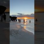 2023年 本日の宮古島！朝イチ晴れ！宮古島の夕日は最高！皆が日没の瞬間を待つ！砂山ビーチ！