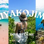 2023年 宮古島／八重干瀬の海中vlog🤿 [insta360 x3で撮影]