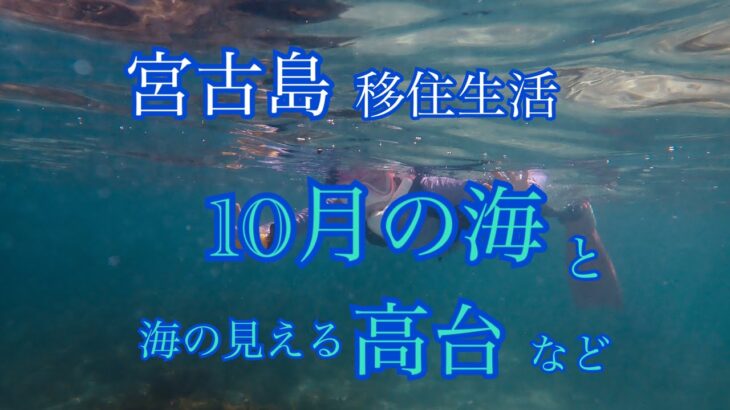 2023年 【vlog】宮古島移住生活🏝️10月の海と高台と🌊私の日常。