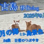 2023年 【移住vlog】2025年9月。宮古島移住生活🏝️1ヶ月のまとめ日記📖