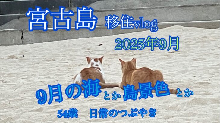 2023年 【移住vlog】2025年9月。宮古島移住生活🏝️1ヶ月のまとめ日記📖