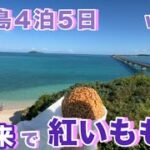 2023年 【宮古島修行vol.07】池間島 海美来(カイミール)で『紅いももち200円』食べたら、、、、