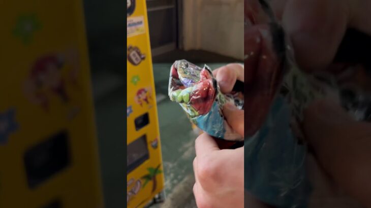 2023年 宮古島の1000円ガチャがめんそーれすぎたww