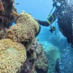 2023年 2024.10.23 沖縄県宮古島