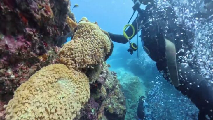 2023年 2024.10.23 沖縄県宮古島