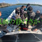 2023年 【　台風前の静けさか～？？　】　2025  11  7