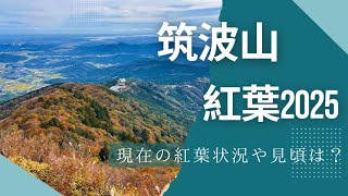 【茨城】筑波山の紅葉2025！登山×紅葉×山頂カフェ♡