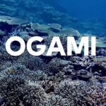 2023年 大神島 魚まみれのボートシュノーケリング 2025.08.31