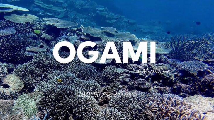 2023年 大神島 魚まみれのボートシュノーケリング 2025.08.31