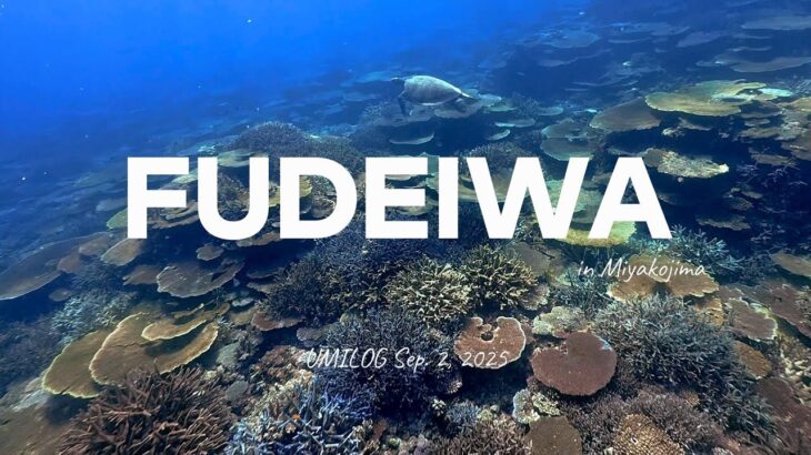 2023年 フデ岩 ボートシュノーケリング 2025.09.02