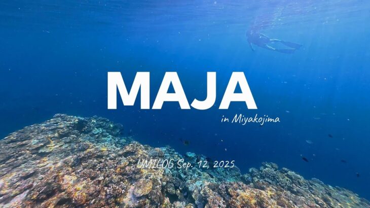 2023年 真謝ビーチ 朝活シュノーケリング 2025.09.12