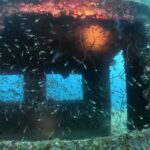 2023年 20250704宮古島