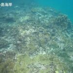 2023年 2025－1029宮古島　中の島海岸