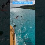 2023年 2025年11月13日