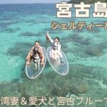 2023年 【🚙宮古島旅行2/3】愛犬と行く宮古島Day2！わんちゃんと初SUPにチャレンジ！！(SUP first time at Miyako island!)