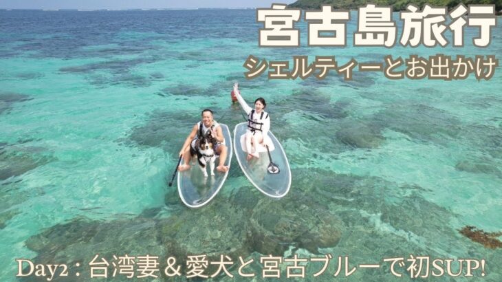 2023年 【🚙宮古島旅行2/3】愛犬と行く宮古島Day2！わんちゃんと初SUPにチャレンジ！！(SUP first time at Miyako island!)