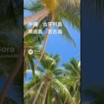 2023年 沖縄綺麗な海3選  古宇利島　瀬底島　宮古島