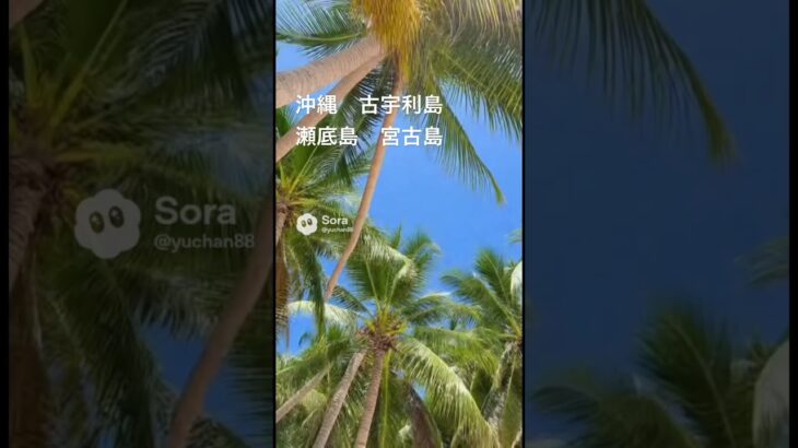 2023年 沖縄綺麗な海3選  古宇利島　瀬底島　宮古島
