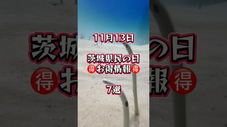 【茨城県民の日‼️お得情報🉐7選】#茨城県 #茨城観光