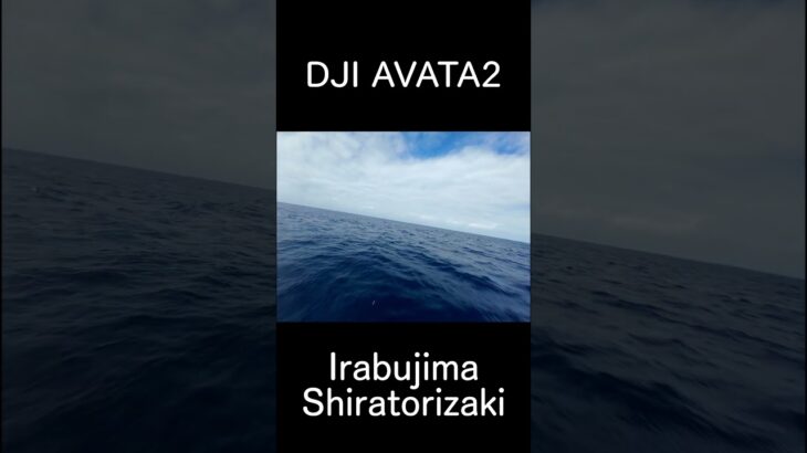 2023年 ONESHOT IrabuIsland Siratorizaki 1