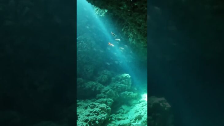 2023年 🥑宮古島の幻想的な海の巻#diving #scubadiving #underwater #ダイビング #水中世界 #shorts #miyakojima
