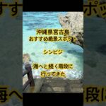 2023年 【沖縄旅行】宮古島のシンビジに行ってきた！おすすめ絶景スポットです♪ #shorts #沖縄 #絶景スポット #旅行 #宮古島