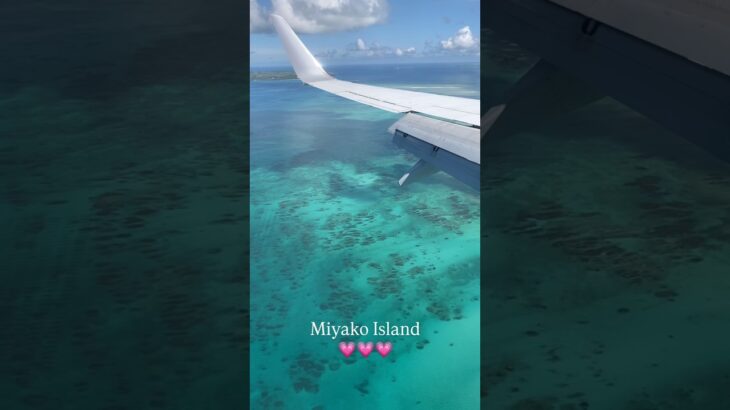 2023年 #shorts #sea #海 #宮古島 #miyako #自然 #nature #japan #飛行機
