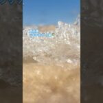 2023年 沖縄県 宮古島市 シギラリゾート #旅行 #沖縄県 #宮古島 #宮古島ダイビング #シギラリゾート #シギラビーチ #海辺 #travel