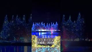かわちイルミネーションを紹介！