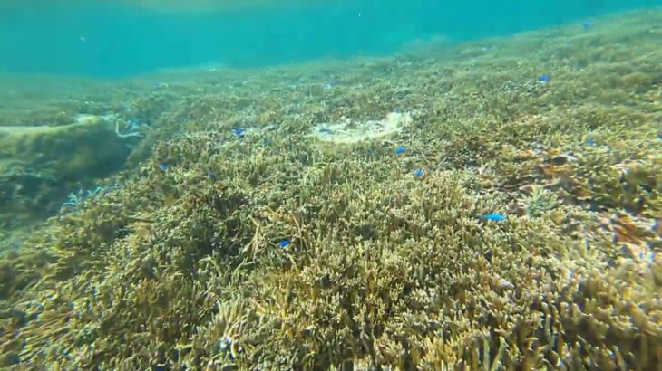 2023年 宮古島の海