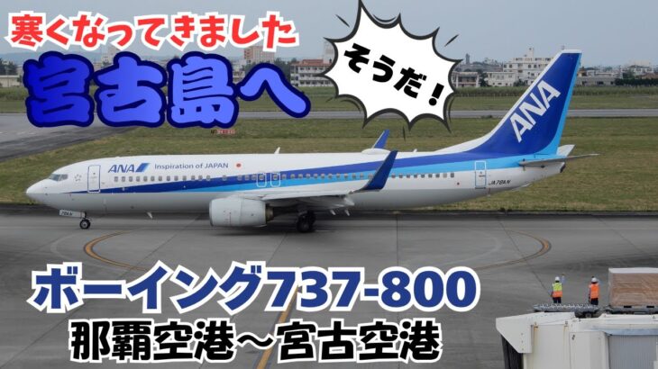 2023年 寒くなりましたね～！暖かい宮古島へ行きたいな～