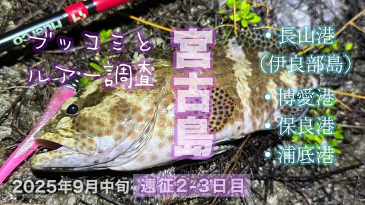 2023年 宮古島を釣り歩き！エサ確保に必要な事とは！？