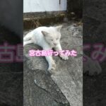 2023年 【宮古島】街ブラ